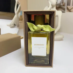 Burberry 100ml  (8)