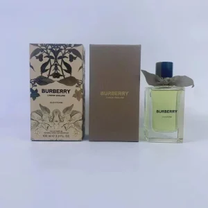 Burberry 100ml  (6)