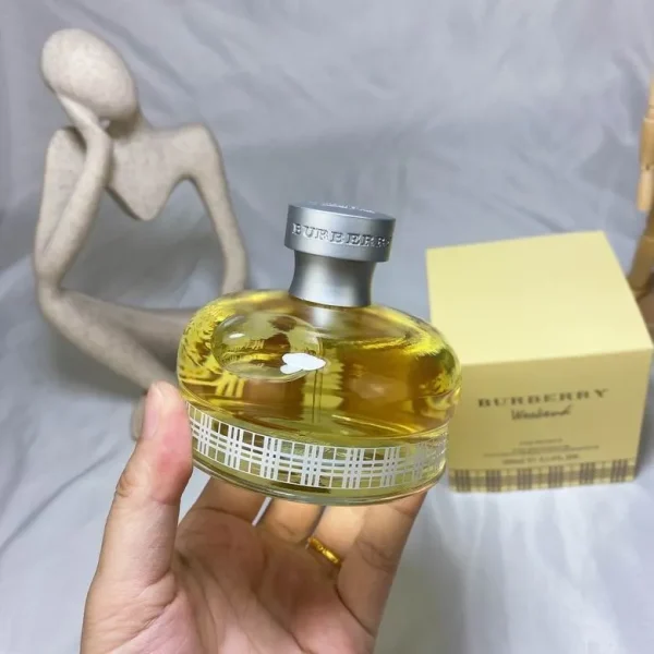 Burberry 100ml  (8)