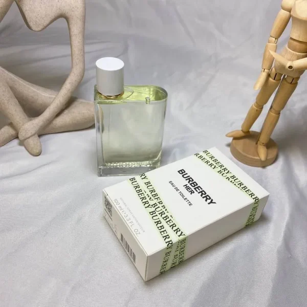 Burberry 100ml  (9)