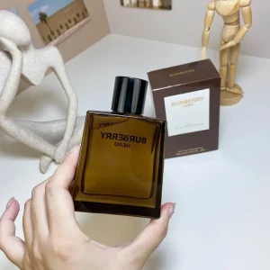 Burberry 100ml  (5)
