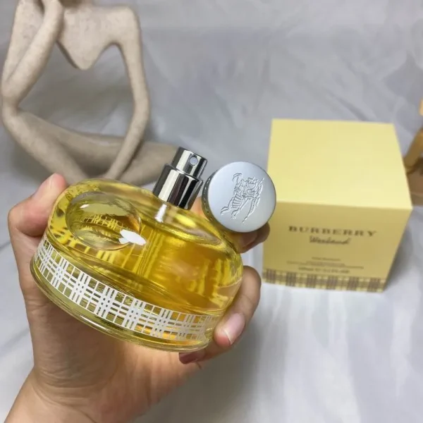 Burberry 100ml  (8) - Image 4
