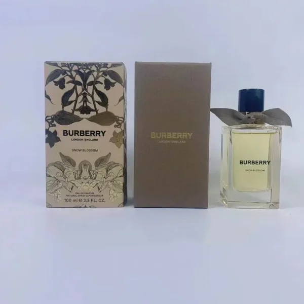 Burberry 100ml  (6) - Image 2