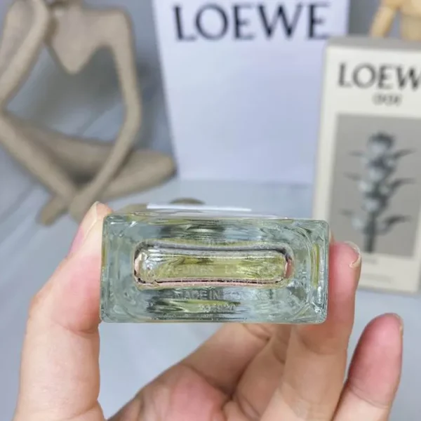 Loewe 50ml  (7) - Image 4
